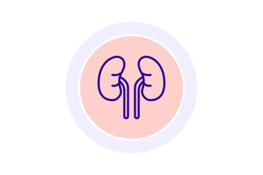 İnsan böbrekleri renk çemberi simgesi, vektör, piksel mükemmel, illüstratör dosyası