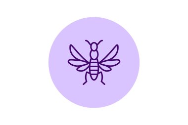 Orkide, vektör, piksel mükemmel, çizer dosyası