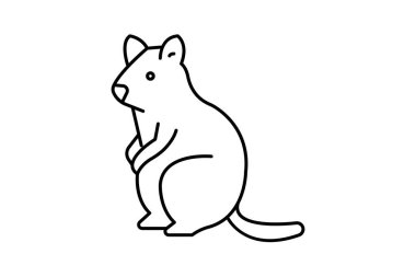 Quokka, vektör, piksel mükemmel, illüstratör dosyası