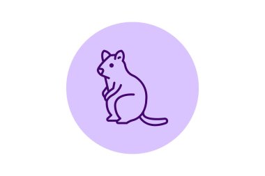 Quokka, vektör, piksel mükemmel, illüstratör dosyası