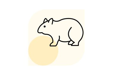 Wombat, vektör, piksel mükemmel, illüstratör dosyası