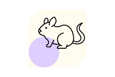 Chinchilla, vektör, piksel mükemmel, illüstratör dosyası