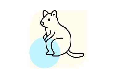 Quokka, vektör, piksel mükemmel, illüstratör dosyası