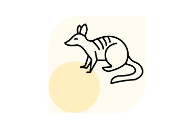 Numbat, vektör, piksel mükemmel, illüstratör dosyası