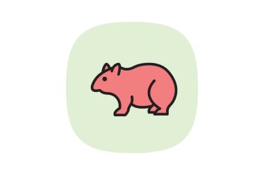 Wombat, vektör, piksel mükemmel, illüstratör dosyası