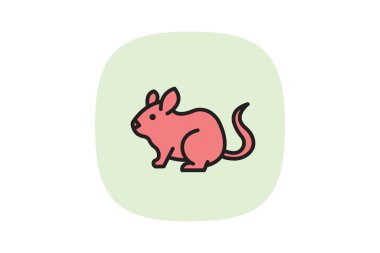 Chinchilla, vektör, piksel mükemmel, illüstratör dosyası