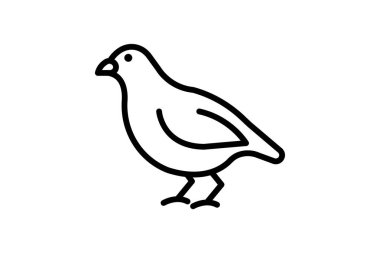 Bıldırcın, vektör, piksel mükemmel, illüstratör dosyası