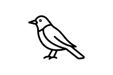 Oriole, vektör, piksel mükemmel, illüstratör dosyası