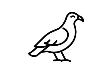 Şahin, vektör, piksel mükemmel, illüstratör dosyası