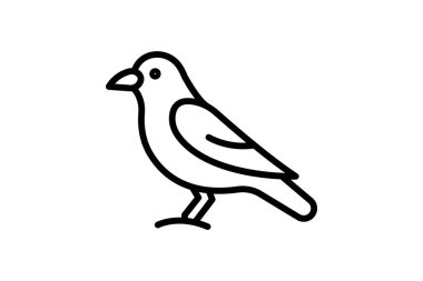 Jackdaw, vektör, piksel mükemmel, illüstratör dosyası