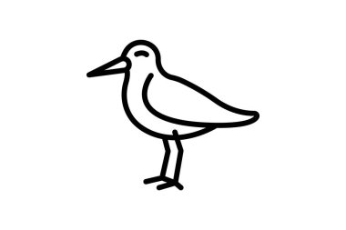 Oystercatcher, vektör, piksel mükemmel, illüstratör dosyası