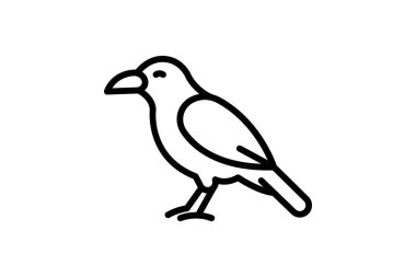 Chough, vektör, piksel mükemmel, illüstratör dosyası