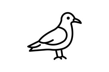 Skua, vektör, piksel mükemmel, illüstratör dosyası