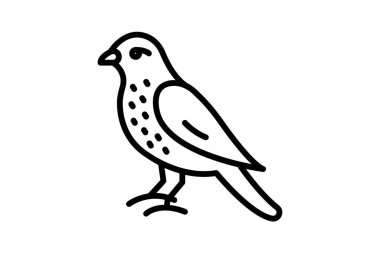 Merlin, vektör, piksel mükemmel, çizer dosyası