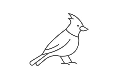 Kardinal, vektör, piksel mükemmel, illüstratör dosyası