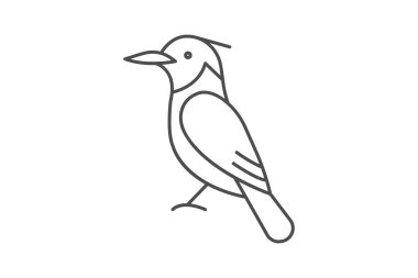 Kingfisher, vektör, piksel mükemmel, illüstratör dosyası