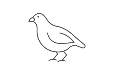 Bıldırcın, vektör, piksel mükemmel, illüstratör dosyası