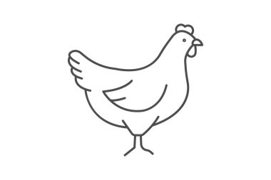 Tavuk, vektör, piksel mükemmel, illüstratör dosyası