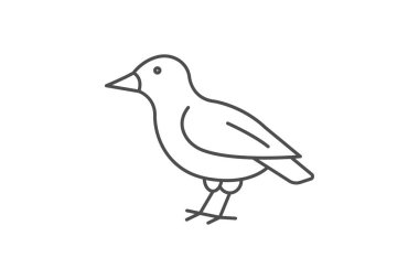 Finch, vektör, piksel mükemmel, çizer dosyası