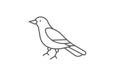 Magpie, vektör, piksel mükemmel, illüstratör dosyası