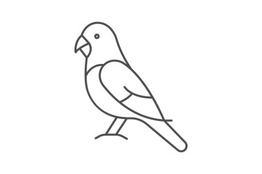 Budgie, vektör, piksel mükemmel, çizer dosyası