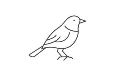 Warbler, vektör, piksel mükemmel, illüstratör dosyası