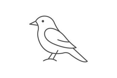 Kingbird, vektör, piksel mükemmel, illüstratör dosyası