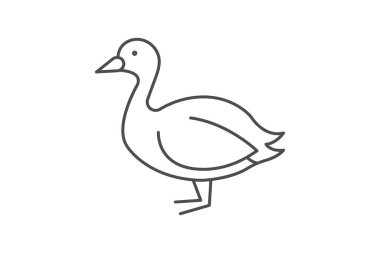 Coot, vektör, piksel mükemmel, illüstratör dosyası