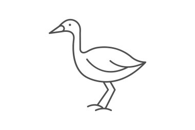 Lapwing, vektör, piksel mükemmel, illüstratör dosyası