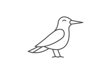 Tern, vektör, piksel mükemmel, illüstratör dosyası