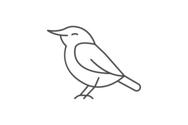 Nuthatch, vektör, piksel mükemmel, illüstratör dosyası