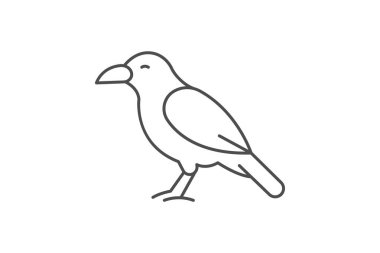 Chough, vektör, piksel mükemmel, illüstratör dosyası