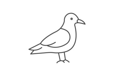 Skua, vektör, piksel mükemmel, illüstratör dosyası