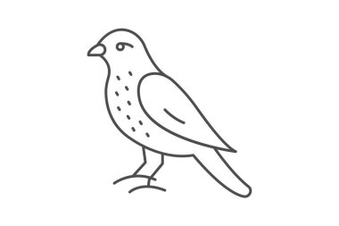 Merlin, vektör, piksel mükemmel, çizer dosyası