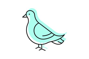 Güvercin, vektör, piksel mükemmel, illüstratör dosyası