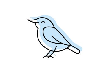 Nuthatch, vektör, piksel mükemmel, illüstratör dosyası