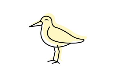 Oystercatcher, vektör, piksel mükemmel, illüstratör dosyası