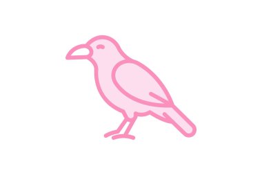 Chough, vektör, piksel mükemmel, illüstratör dosyası