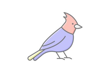 Kardinal, vektör, piksel mükemmel, illüstratör dosyası