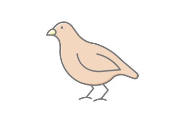 Bıldırcın, vektör, piksel mükemmel, illüstratör dosyası