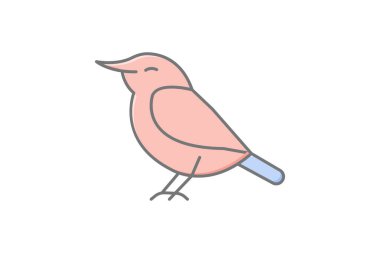 Nuthatch, vektör, piksel mükemmel, illüstratör dosyası