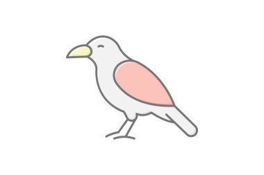 Chough, vektör, piksel mükemmel, illüstratör dosyası