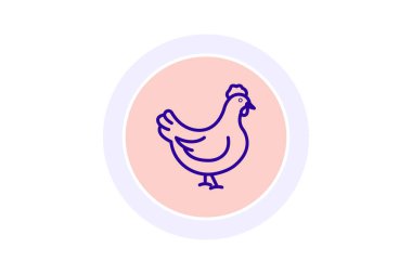 Tavuk, vektör, piksel mükemmel, çizer dosyası