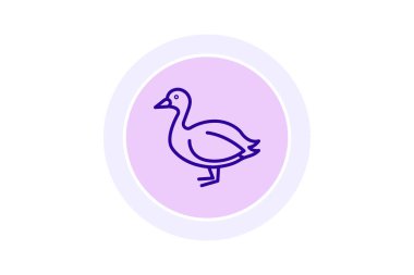 Coot, vektör, piksel mükemmel, illüstratör dosyası