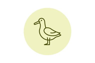 Albatros, vektör, piksel mükemmel, illüstratör dosyası