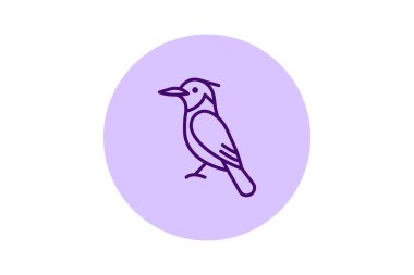 Kingfisher, vektör, piksel mükemmel, illüstratör dosyası