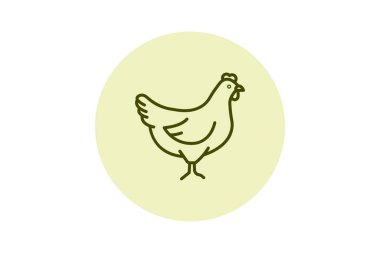 Tavuk, vektör, piksel mükemmel, illüstratör dosyası