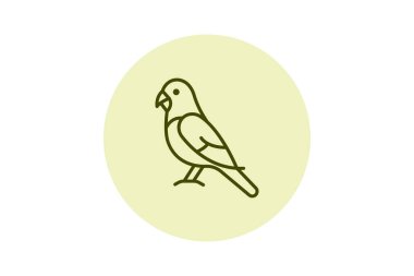 Budgie, vektör, piksel mükemmel, çizer dosyası