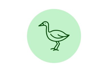 Lapwing, vektör, piksel mükemmel, illüstratör dosyası