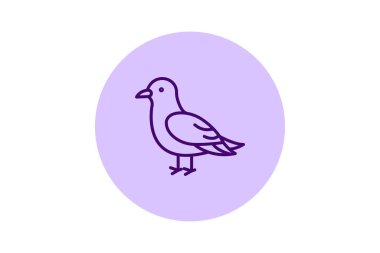 Kittiwake, vektör, piksel mükemmel, illüstratör dosyası